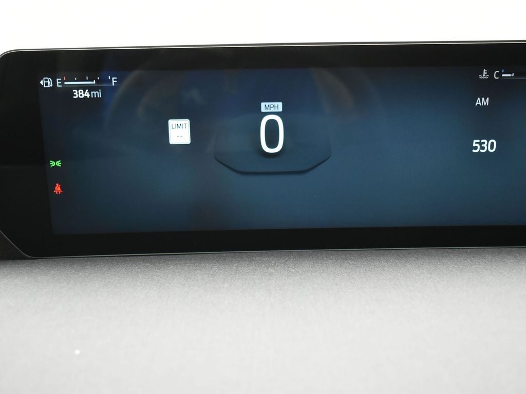 2025 Ford Expedition Max Active 202A