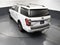 2020 Ford Expedition Max Limited 300A