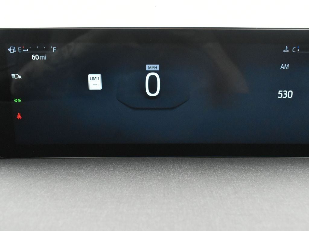 2025 Ford Expedition Active 202A