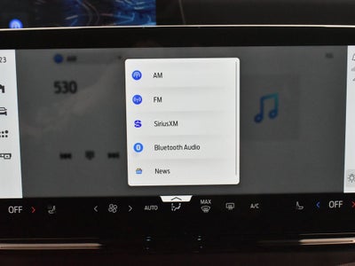 2025 Ford Expedition Active 202A