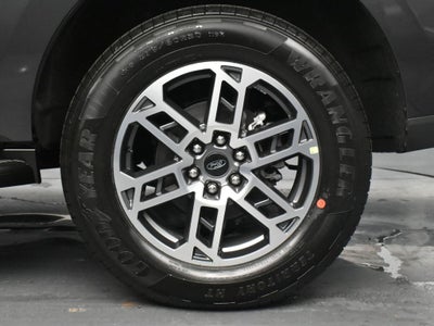 2025 Ford Expedition Active 202A