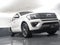 2020 Ford Expedition Limited 301A