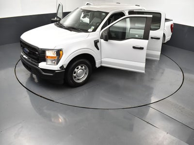 2021 Ford F-150 XL 101A