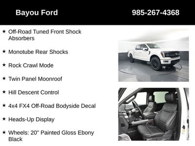 2025 Ford F-150 Platinum 702A