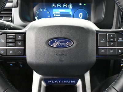 2025 Ford F-150 Platinum 702A