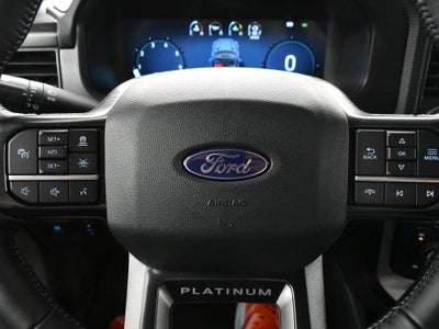 2025 Ford F-150 Platinum 702A