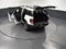2026 Ford Bronco Sport Big Bend 200A