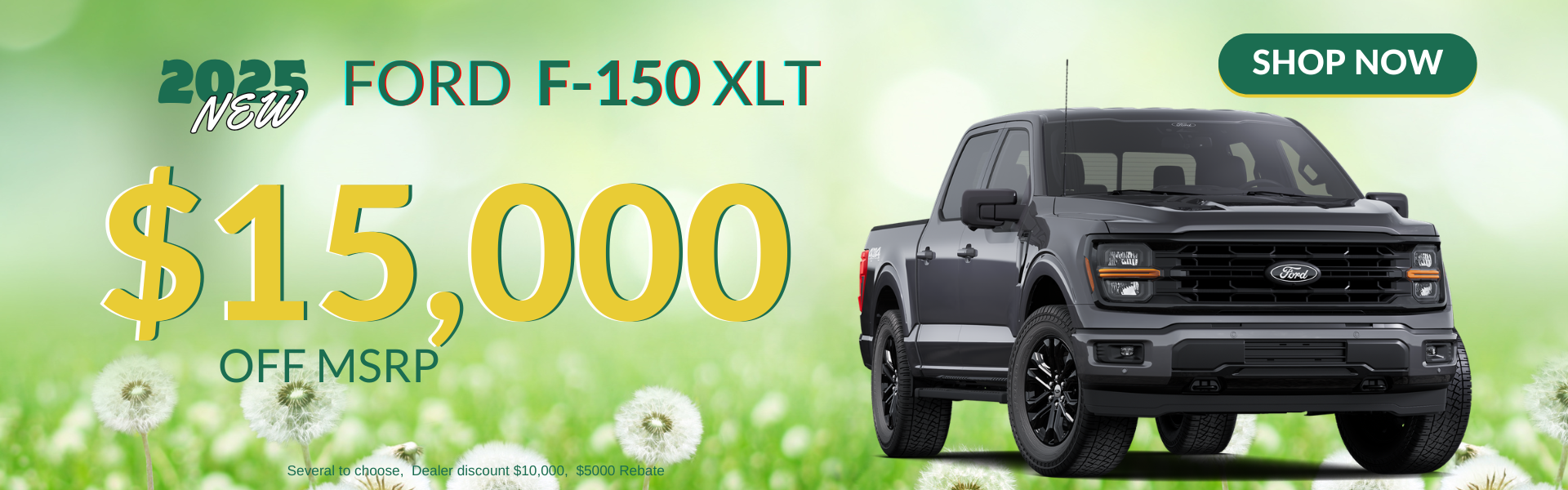 $15,000 OFF F-150 XLT